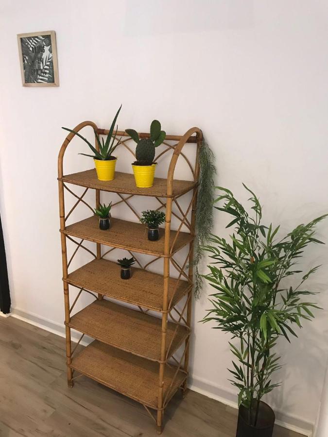 Cactus 2 Bedroom Apartment On Calle San Miguel Minutes From The Beach By Namaste Elite Torremolinos Zewnętrze zdjęcie